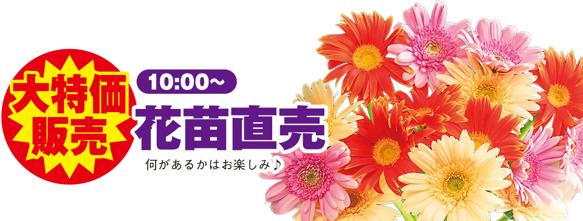新座市で葬儀をご検討なら家族葬の長坂へ