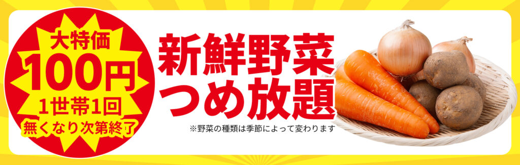 大特価100円!新鮮野菜つめ放題