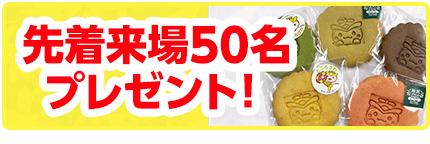 所沢市で葬儀・家族葬をご検討なら家族葬の長坂へ