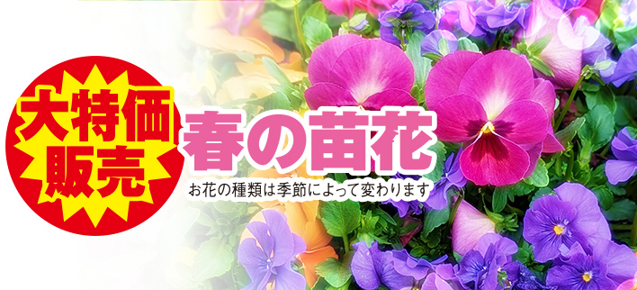 所沢市で葬儀・家族葬をご検討なら家族葬の長坂へ